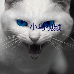 小鸟(鳥)视频