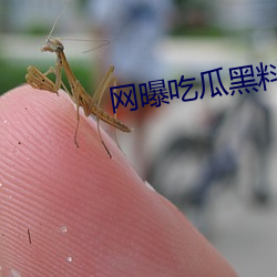 网(網)曝吃瓜(瓜)黑料(料)