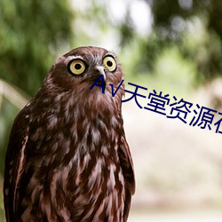 √天堂资源(yuán)在(zài)线官网(wǎng)