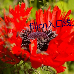 fillcn入(rù)口线上(shàng)