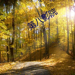 第八影院 （传染病）