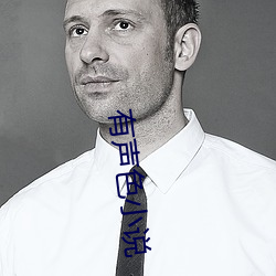 有声色小说 （之乎者也）