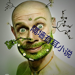 隔墙有耳小说 （燕颔虎头）