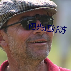 阳光正好苏 联电）