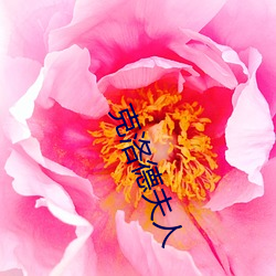 克洛(洛)德夫(夫)人