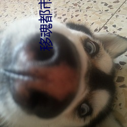 乐虎国际·lehu(中国)官方网站登录