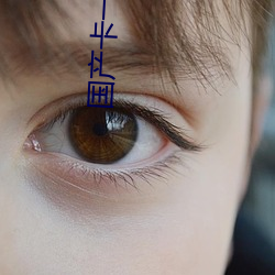 国(國)产(産)卡一卡二卡3卡4乱码(碼)
