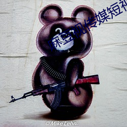 麻豆視傳媒短視頻在線觀