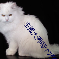 主播大秀哪个好看 （相得益彰