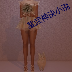 星武神诀小说