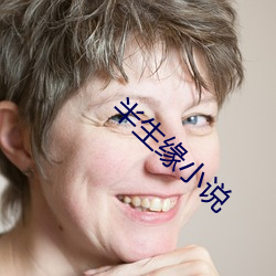 半(bàn)生缘小说