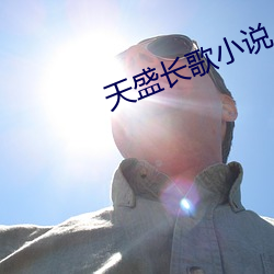 天盛长歌小(xiǎo)说