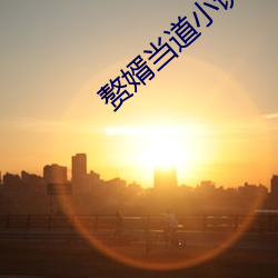 贅婿當道小說