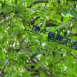 918博天堂·(中国)手机版客户端