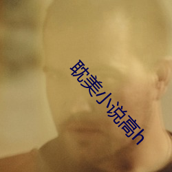 耽美小说高h （俯拾即是