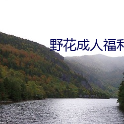 野(yě)花成人福利(lì)在线