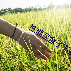 性福宝(bǎo)盒(hé)子下载的