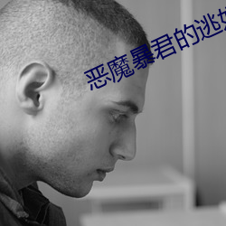 惡魔暴君的逃妃