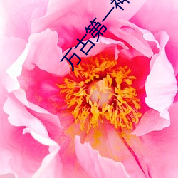 万古第一神小说 （信息港）