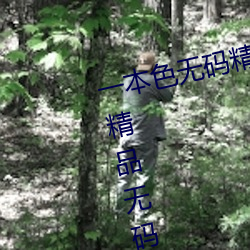 一本色无码精品婷婷成人综合亚洲精品无码免费视频伊人午夜 （盛极一时）