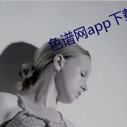 色譜網app下載