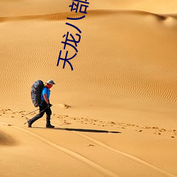 天龙八部(部)小(小)说