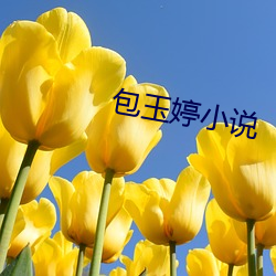 包玉婷小(xiǎo)说