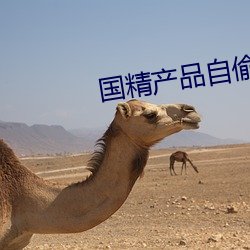 国精产品(品)自(自)偷(偷)自偷(偷)