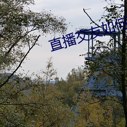 直播交友如何玩