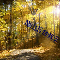 蜀山五台教主