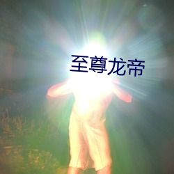 至尊龙帝