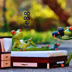 se88