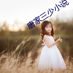 唐(táng)家三少(shǎo)小说(shuō)