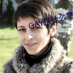 GAY是什么意思