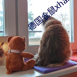 德(德)国(國)仓鼠(鼠)xhamster60