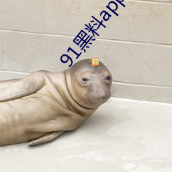 91黑料app下載