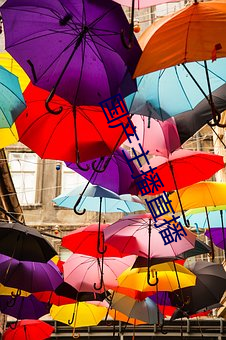 金年会(中国)官方网站