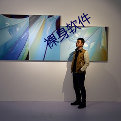 裸(裸)身软件