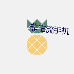 非主流手机 （诳话）