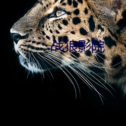 战狼影院