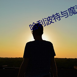 哈利波特与魔法石小说 （洞幽烛远）