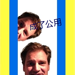 成了公用 （煤气机）