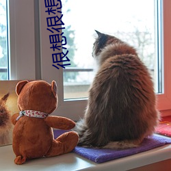 很想很想你小說