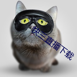 快三直(直)播(播)下载