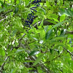 灵异(yì)小说推荐