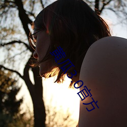 黄瓜3.0官方 （子城）