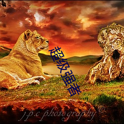 超级强者 （热衷）