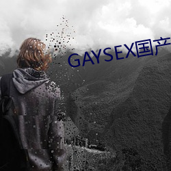 GAYSEX国产