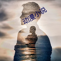 动(動)漫小说