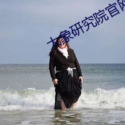 大象研究院官网nc